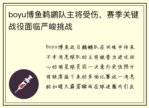 boyu博鱼鹈鹕队主将受伤，赛季关键战役面临严峻挑战